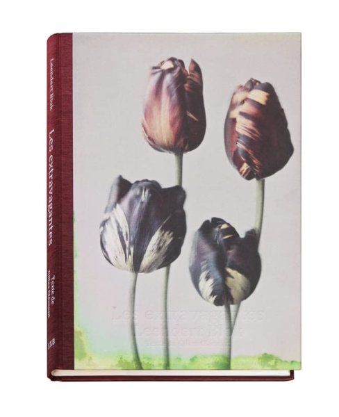 画像1: Les extravagantes / Leendert Blok,  Gilles Clément (1)