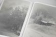 画像9:  [SIGNED] STAINS & ASHES / Ola Rindal (9)