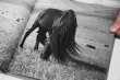 画像3: Horses / Jane Evelyn Atwood (3)