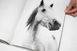 画像5: Horses / Jane Evelyn Atwood (5)