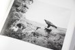 画像8: Dioramas /  杉本博司 Hiroshi Sugimoto (8)