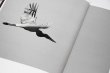 画像5: Des oiseaux / Sebastião Salgado (5)