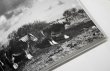 画像10: Horses / Jane Evelyn Atwood (10)