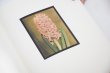 画像13: Les extravagantes / Leendert Blok,  Gilles Clément (13)