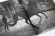 画像13: Horses / Jane Evelyn Atwood (13)