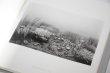 画像2: Dioramas /  杉本博司 Hiroshi Sugimoto (2)