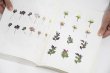 画像14: Book Of Plants (new edition)  /  Anne Geene (14)