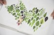 画像13: Book Of Plants (new edition)  /  Anne Geene (13)