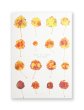 画像1: Book Of Plants (new edition)  /  Anne Geene (1)