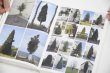 画像8: Book Of Plants (new edition)  /  Anne Geene (8)