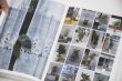 画像7: Book Of Plants (new edition)  /  Anne Geene (7)