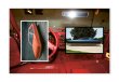 画像8: Meta Cars / Beni Bischof (8)