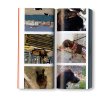 画像5: RIEN DE PERSONNEL / Martin Bethenod (5)
