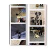 画像8: RIEN DE PERSONNEL / Martin Bethenod (8)