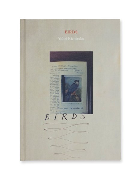 画像1: BIRDS / 吉楽洋平 (1)