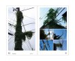 画像7: 緑をみる人 / 村田あやこ (7)
