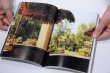 画像11: Strong memory / 佐内正史、擬態屋 (11)