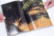 画像9: Strong memory / 佐内正史、擬態屋 (9)
