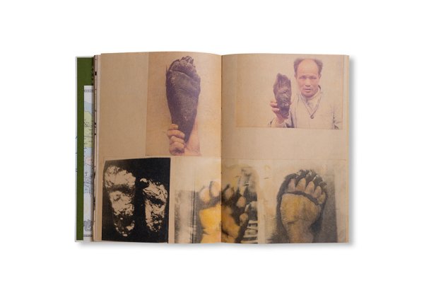 画像11: WILDMAN FEVER! / Ruben Lundgren (11)