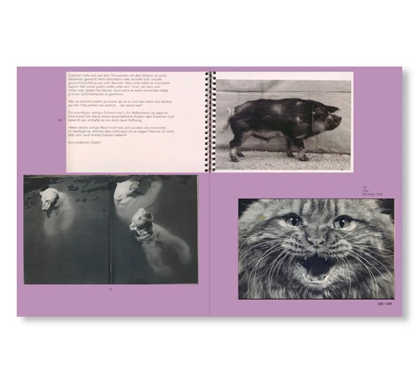 画像5: L IS FOR LOOK - CHILDREN’S PHOTOBOOKS (5)