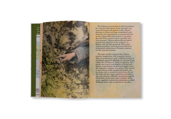 画像4: WILDMAN FEVER! / Ruben Lundgren (4)