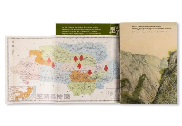 画像3: WILDMAN FEVER! / Ruben Lundgren (3)