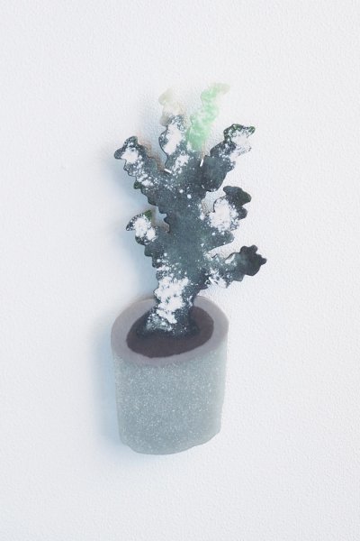 画像1: サボテン  / 福士遥 Fukushi Haruka【12月2日以降発送】 (1)