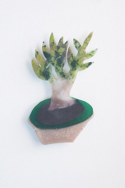 画像1: 鉢植え  / 福士遥 Fukushi Haruka【12月2日以降発送】 (1)