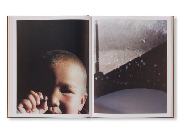 画像8: SÜÜ / Taemin Ha (8)