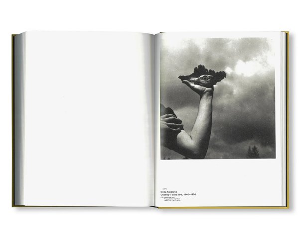 画像18: CLIN D'ŒIL / Cécile Poimbœuf-Koizumi & Stephen Ellcock (18)