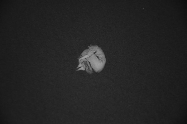 画像9: 石と桃 / Kazuhei Kimura  木村和平 (9)