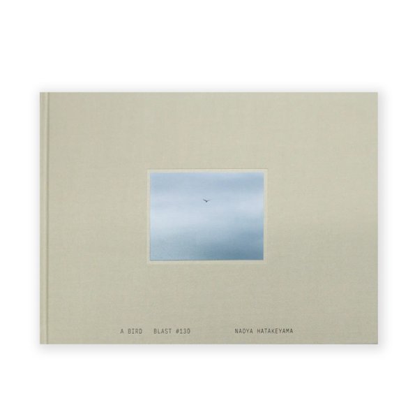 画像1: A BIRD  Blast #130  /  畠山直哉 Naoya Hatakeyama  (1)