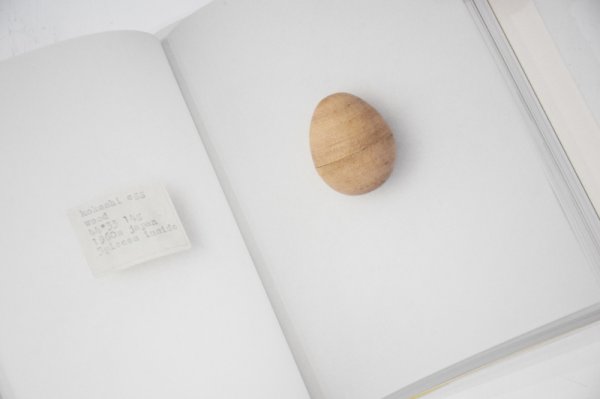 画像4: egg /  澄敬一 Keiichi Sumi (4)