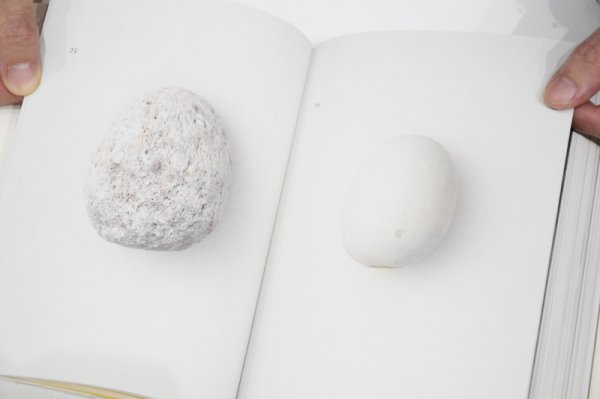 画像2: egg /  澄敬一 Keiichi Sumi (2)