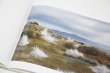 画像3: A BIRD  Blast #130  /  畠山直哉 Naoya Hatakeyama  (3)