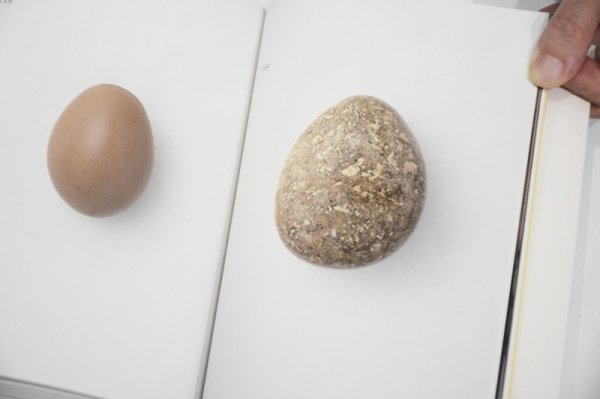 画像13: egg /  澄敬一 Keiichi Sumi (13)