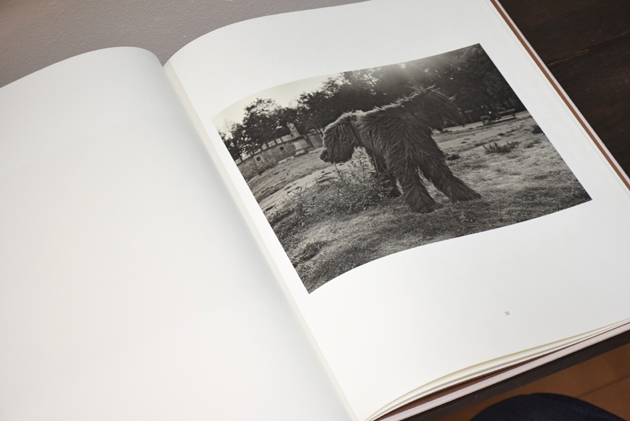 Paris In My Time / Mark Steinmetz ON READING Online Shop