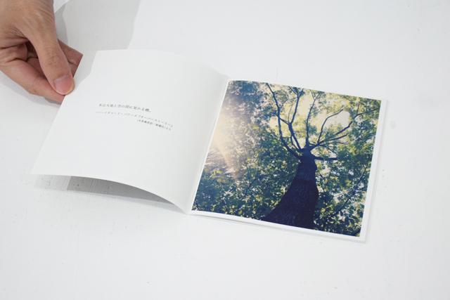 Trees 小林英治 On Reading オンラインショップ