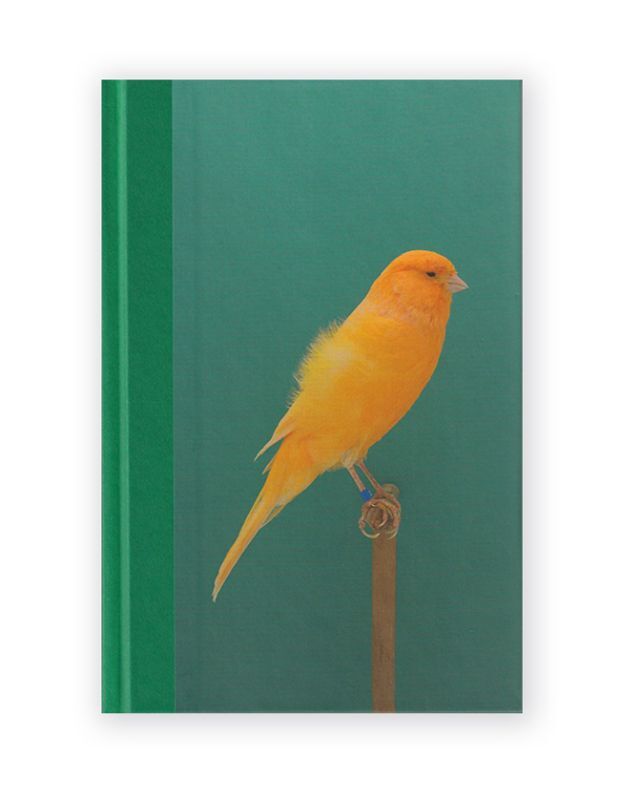 An Incomplete Dictionary of Show Birds Vol.2 / Luke Stephenson ON 